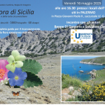 Flora di Sicilia